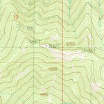 United States Geological Survey Trout Peak, ID (1989, 24000-Scale) digital map