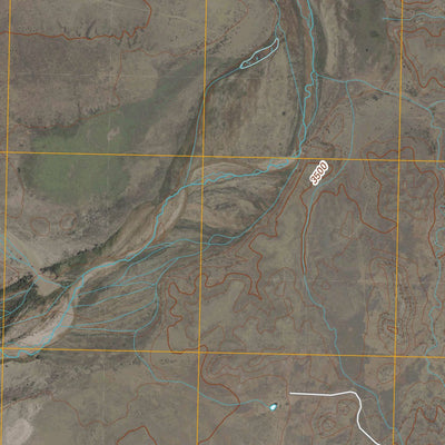 United States Geological Survey Trujillo Camp, TX (2010, 24000-Scale) digital map