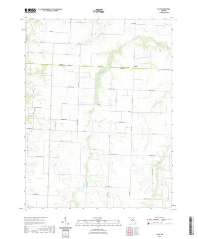 United States Geological Survey Tulip, MO (2021, 24000-Scale) digital map
