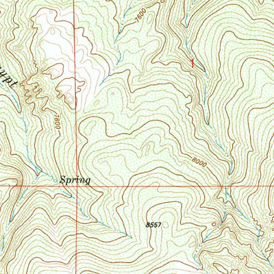 United States Geological Survey Tungsten Hills, CA (1990, 24000-Scale) digital map