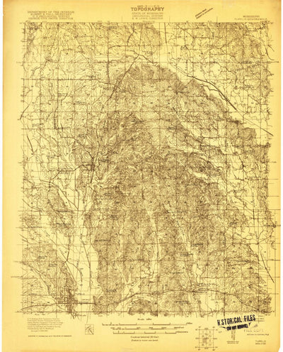 United States Geological Survey Tupelo, MS (1921, 48000-Scale) digital map