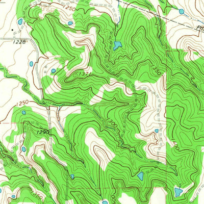 United States Geological Survey Turkey Creek, TX (1965, 24000-Scale) digital map