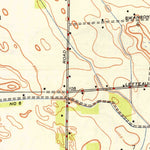 United States Geological Survey Turlock, CA (1948, 24000-Scale) digital map