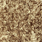 United States Geological Survey Turlock Lake, CA (1913, 31680-Scale) digital map