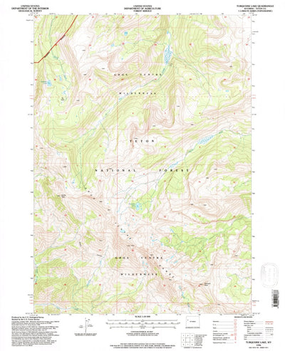 United States Geological Survey Turquoise Lake, WY (1996, 24000-Scale) digital map