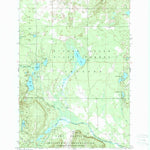 United States Geological Survey Turtle Lake, MI (1950, 24000-Scale) digital map