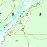 United States Geological Survey Turtle Lake, MI (1950, 24000-Scale) digital map