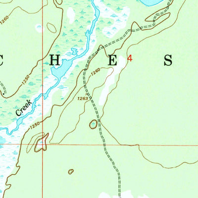 United States Geological Survey Turtle Lake, MI (1950, 24000-Scale) digital map