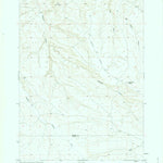 United States Geological Survey Twentymile Butte, ID (1948, 24000-Scale) digital map