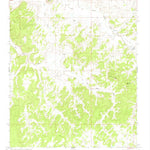United States Geological Survey Twin Buttes, NM (1963, 24000-Scale) digital map