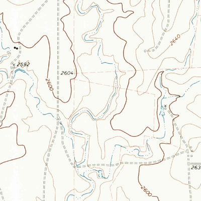 United States Geological Survey Twin Grove, TX (1972, 24000-Scale) digital map
