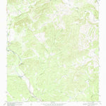 United States Geological Survey Twin Hollow, TX (1969, 24000-Scale) digital map