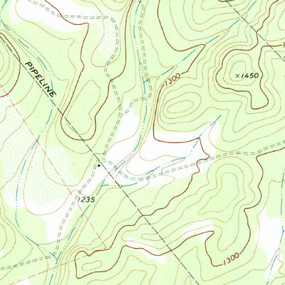 United States Geological Survey Twin Hollow, TX (1969, 24000-Scale) digital map