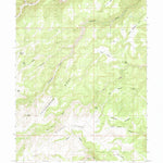 United States Geological Survey Twin Hollow, UT (1985, 24000-Scale) digital map