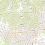 United States Geological Survey Twin Lakes, CA (2012, 24000-Scale) digital map