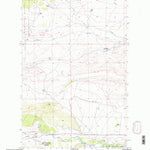 United States Geological Survey Twin Lakes, MT (1995, 24000-Scale) digital map
