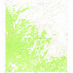 United States Geological Survey Two Grey Hills, NM (1966, 24000-Scale) digital map