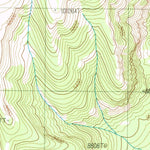 United States Geological Survey Two Ocean Pass, WY (1989, 24000-Scale) digital map