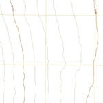 United States Geological Survey Tybo Well, NV (2021, 24000-Scale) digital map