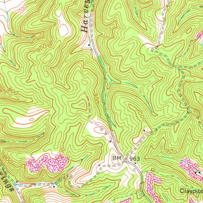 United States Geological Survey Tygarts Valley, KY (1962, 24000-Scale) digital map