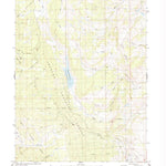 United States Geological Survey Tyler Mountain, CO (1980, 24000-Scale) digital map