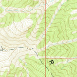 United States Geological Survey Tyler Peak, ID (1969, 24000-Scale) digital map