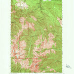 United States Geological Survey Tyler Peak, WA (1946, 62500-Scale) digital map