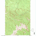 United States Geological Survey Tyler Peak, WA (1995, 24000-Scale) digital map