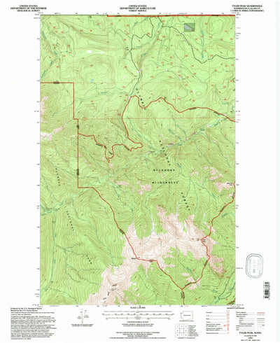 United States Geological Survey Tyler Peak, WA (1995, 24000-Scale) digital map