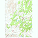 United States Geological Survey Tyler, WA (1980, 24000-Scale) digital map