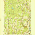 United States Geological Survey Tyner, NY (1951, 24000-Scale) digital map