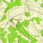 United States Geological Survey Unadilla Forks, NY (1945, 31680-Scale) digital map