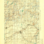 United States Geological Survey Union City, MI (1918, 62500-Scale) digital map