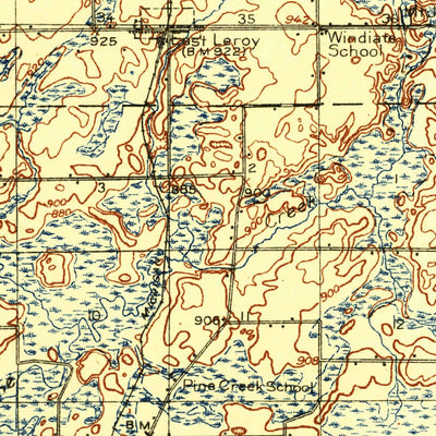 United States Geological Survey Union City, MI (1918, 62500-Scale) digital map