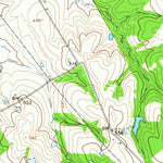 United States Geological Survey Union High, TX (1965, 24000-Scale) digital map