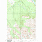 United States Geological Survey Valdez C-3, AK (1951, 63360-Scale) digital map