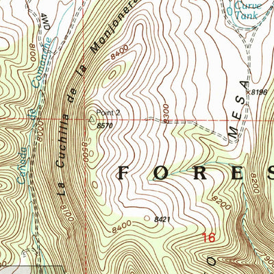 United States Geological Survey Vallecitos, NM (2002, 24000-Scale) digital map