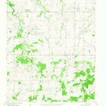 United States Geological Survey Vashti, TX (1963, 24000-Scale) digital map