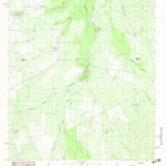 United States Geological Survey Velenzuela Creek, TX (1982, 24000-Scale) digital map