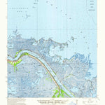 United States Geological Survey Venice, LA (1948, 62500-Scale) digital map