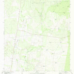 United States Geological Survey Viboras, TX (1972, 24000-Scale) digital map