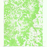 United States Geological Survey Vichy, MO (1980, 24000-Scale) digital map