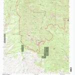 United States Geological Survey Vicks Peak, NM (1995, 24000-Scale) digital map
