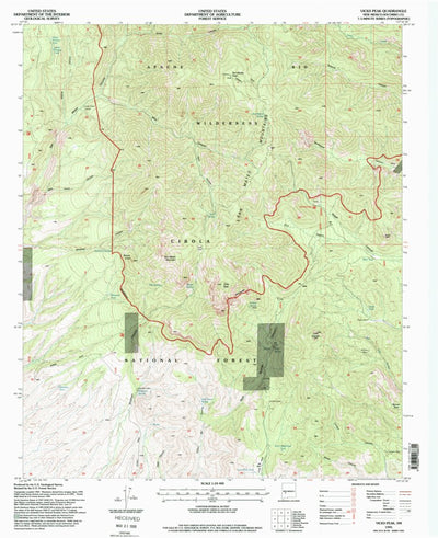 United States Geological Survey Vicks Peak, NM (1995, 24000-Scale) digital map