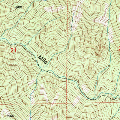 United States Geological Survey Vicks Peak, NM (1995, 24000-Scale) digital map