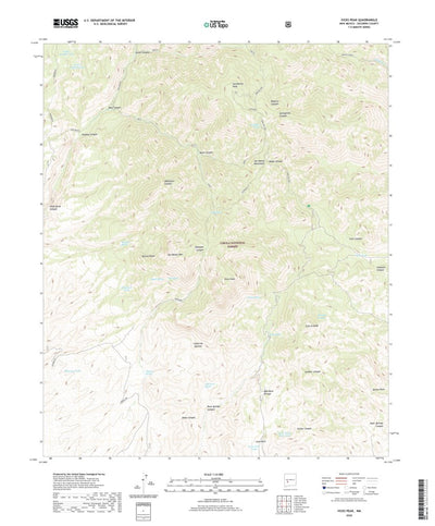 United States Geological Survey Vicks Peak, NM (2020, 24000-Scale) digital map