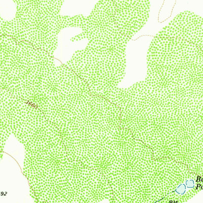 United States Geological Survey Victorio Peak, TX (1973, 24000-Scale) digital map
