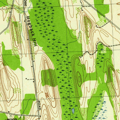 United States Geological Survey Victory, NY (1943, 31680-Scale) digital map