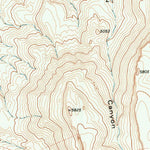 United States Geological Survey Vieja Pass, TX (1978, 24000-Scale) digital map