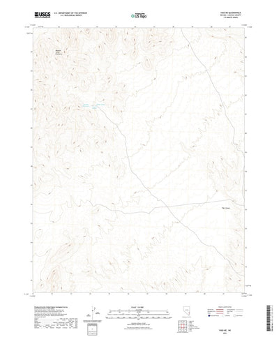 United States Geological Survey Vigo NE, NV (2021, 24000-Scale) digital map
